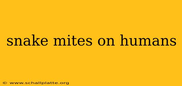 snake mites on humans