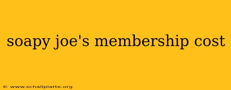 soapy joe's membership cost