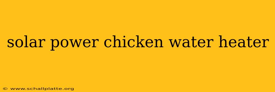 solar power chicken water heater