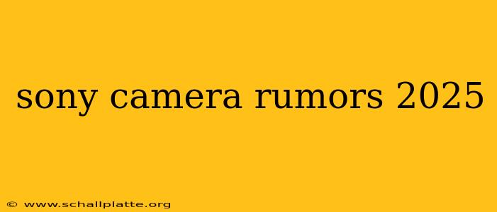 sony camera rumors 2025